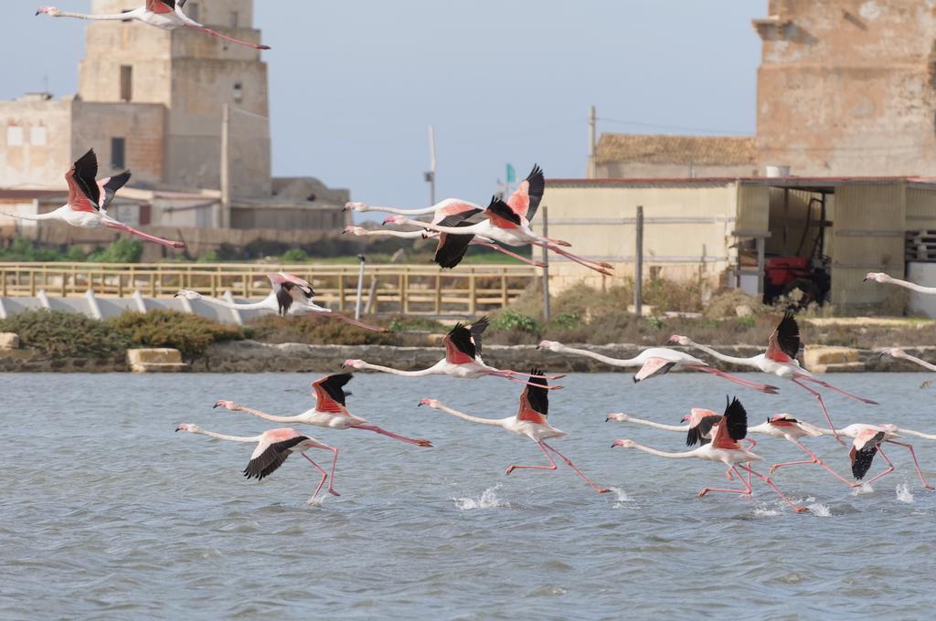 B&B Sbarco Dei 1000 Marsala Bagian luar foto